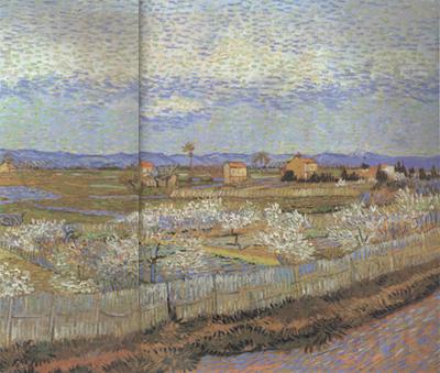 Vincent Van Gogh La Crau with Peach Trees in Blossom (nn04)
